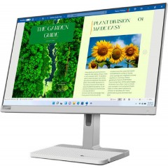 Lenovo L24m-40 IPS Monitor 23.8