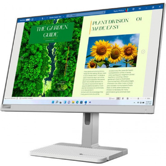 Lenovo L24m-40 IPS Monitor 23.8