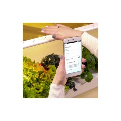 Click & Grow Smart Garden 9 Pro Γλάστρα Αυτοποτιζόμενη 60.4x18.4cm (SG9S1UNI-BT) Λευκή