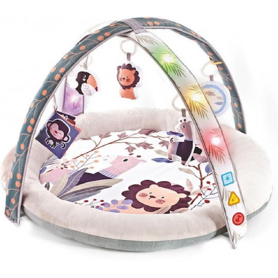 Bebe stars Γυμναστήριο – Φωλιά Zoo 100-202