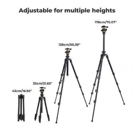 K&F Concept K234A0+BH-36L Magnesium Travel Tripod with Ball Head & Phone Clamp (KF09.149) Black/Gold