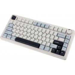 Aula F75 Ασύρματο Gaming Πληκτρολόγιο 75% με LEOBOG Reaper διακόπτες και RGB φωτισμό (Αγγλικό US) Λευκό