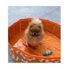 Swim Essentials Πισίνα για σκύλους 80εκ. Orange bones