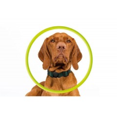 Mobile Origin AirTag Pet Collar black (MO-APC-BLK)