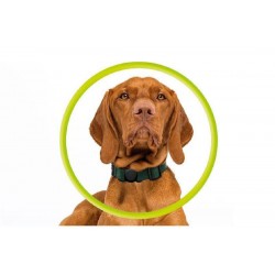 Mobile Origin AirTag Pet Collar black (MO-APC-BLK)