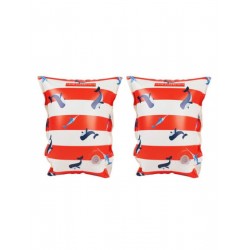 Swim Essentials: Μπρατσάκια για παιδιά από 2-6 ετών - 