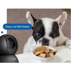 Tp-Link Tapo C201 Pan/Tilt Home Security Wi-Fi Camera 1080p Full HD (1770500227) Black v5.0