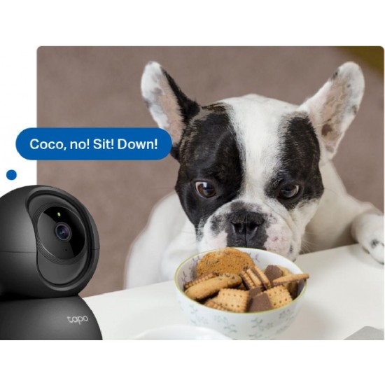 Tp-Link Tapo C201 Pan/Tilt Home Security Wi-Fi Camera 1080p Full HD (1770500227) Black v5.0
