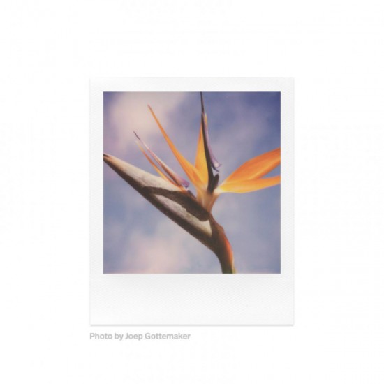 Polaroid Color SX-70 Instant Film (8 Exposures) 6004